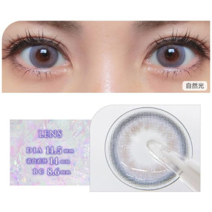 COLOR MAJORITY 1Day Aurora Laveige カラーマジョリティー オーロララベージュ